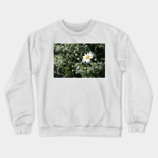 Large Daisy Crewneck Sweatshirt